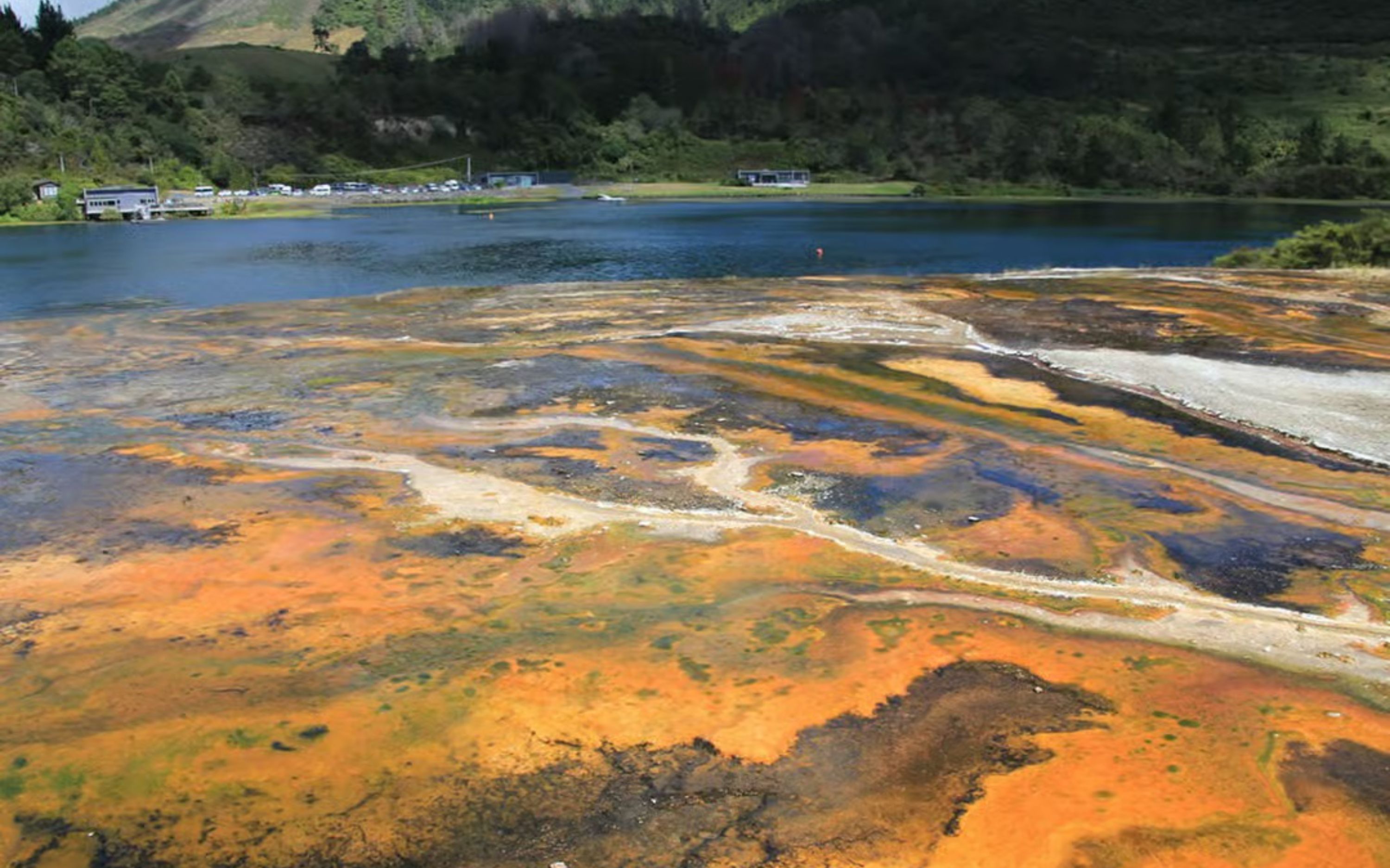 Explore stunning Waiotapu geothermal wonders on an exciting Taupo tour
