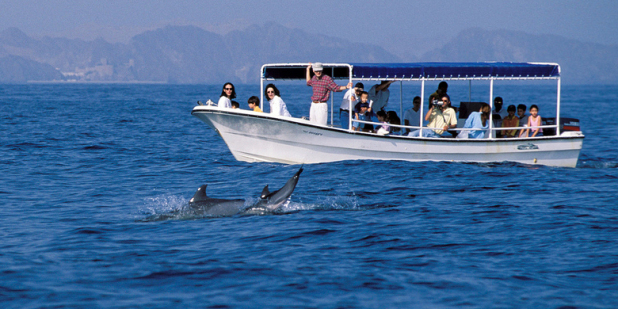 Snorkeling and Dolphin Watching Tour in Muscat 