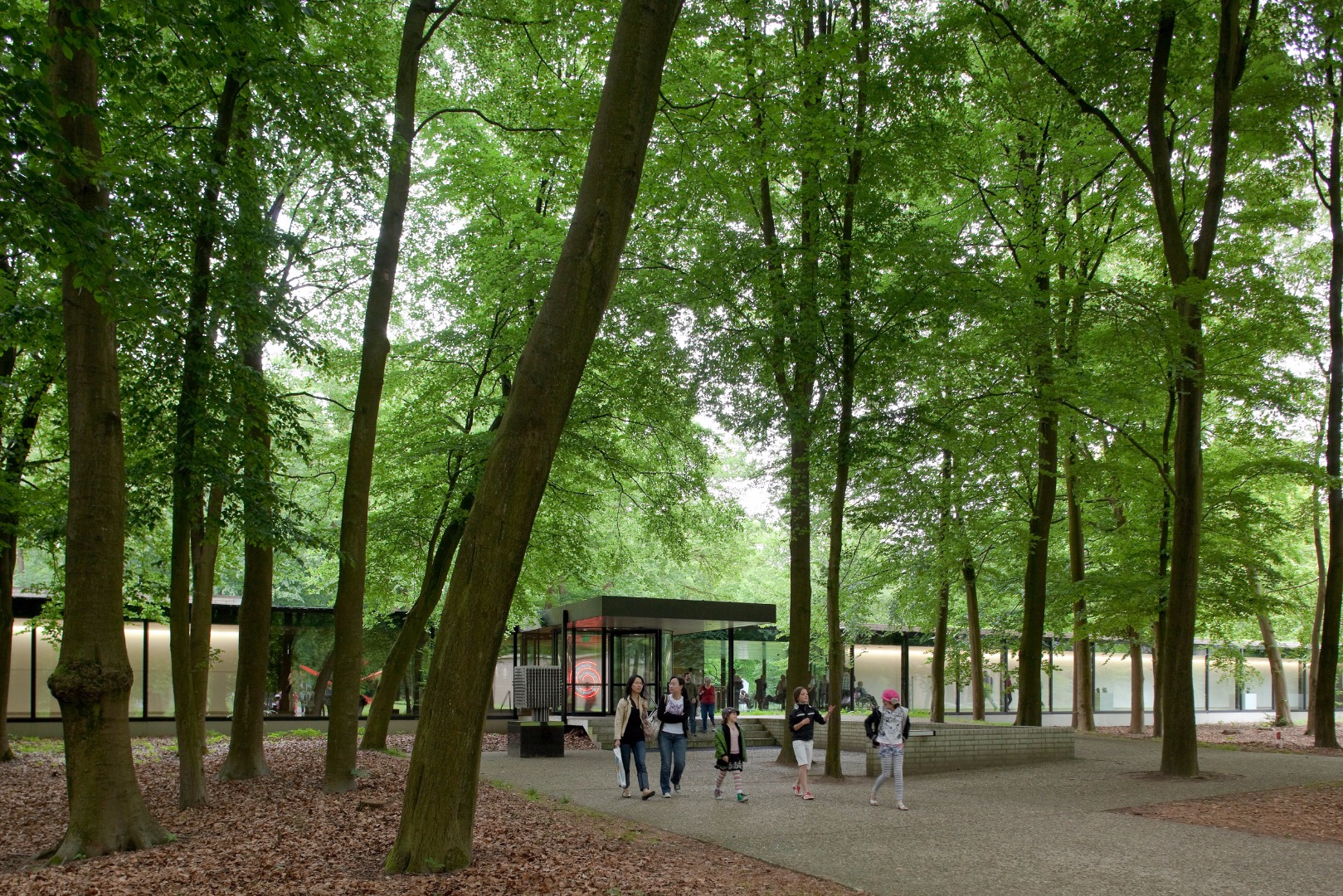 Small Group Tour to Kröller-Müller Museum and Hoge Veluwe National Park from Amsterdam