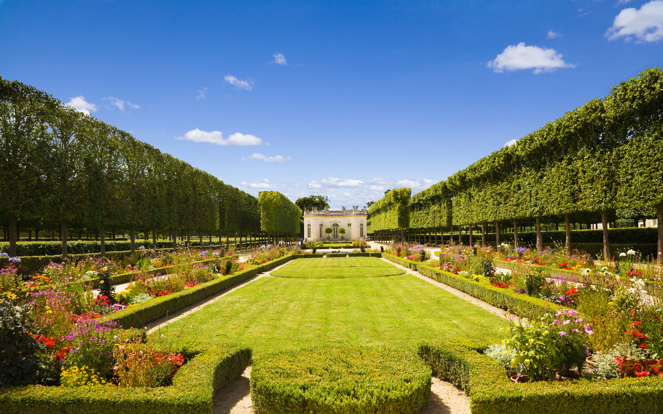 Manicured gardens of Versailles featuring geometric lawns and elegant fountains