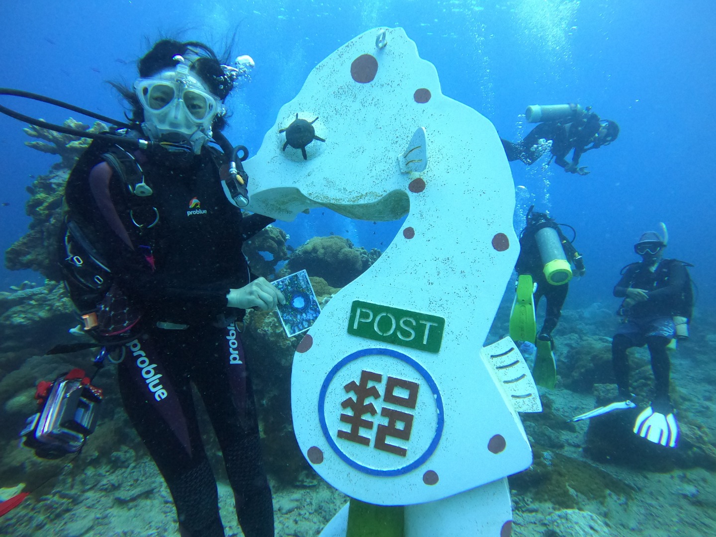 綠島潛水｜綠島藍莎潛水中心｜一對一深潛體驗・含潛點往返接送