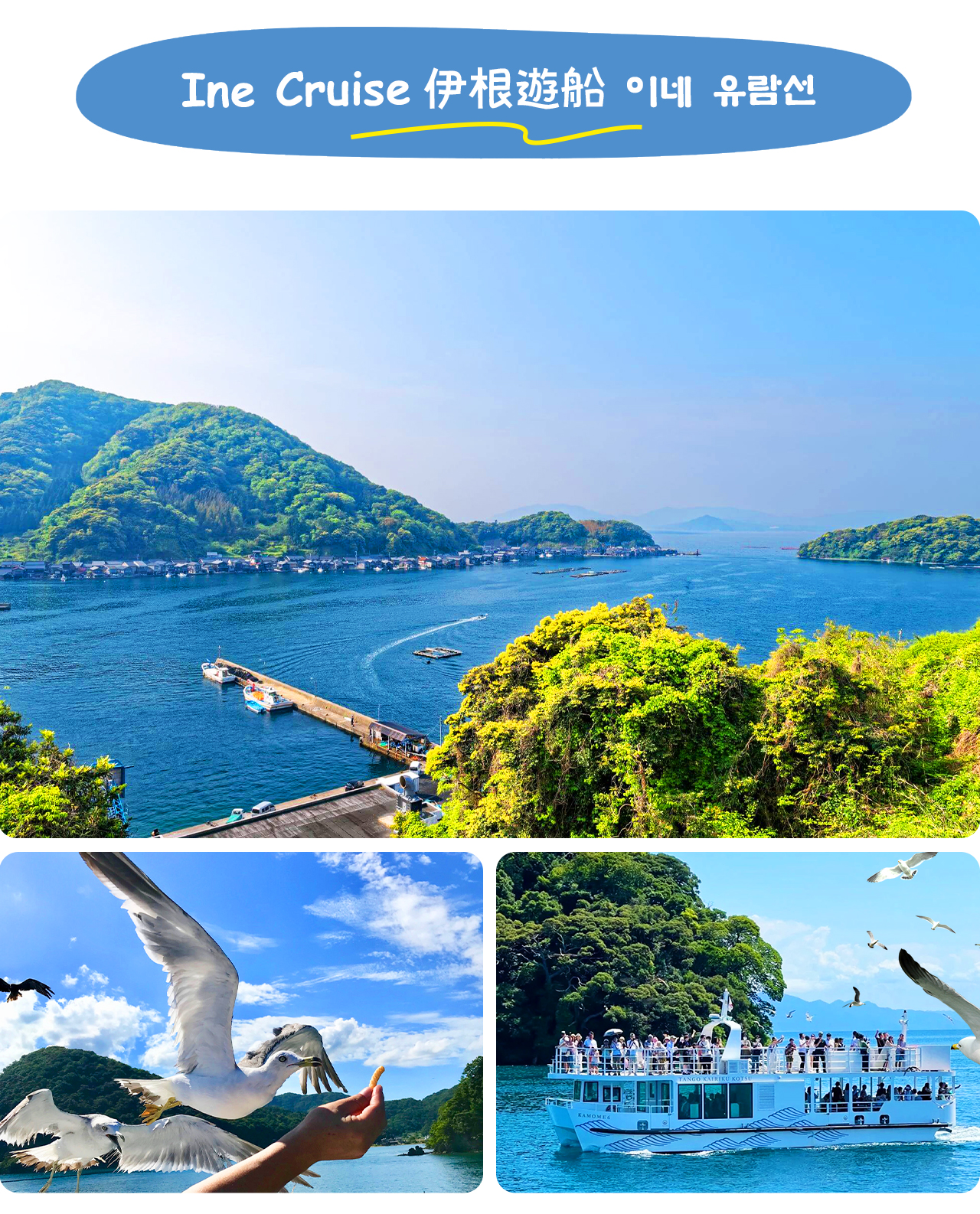The Ine Cruise is a must-do for those who want to deeply experience the charm of the Ine Boat House. By boating around Ine Bay, you can not only appreciate the more than 230 boat houses neatly arranged up close, but also feel the tranquility and harmony o