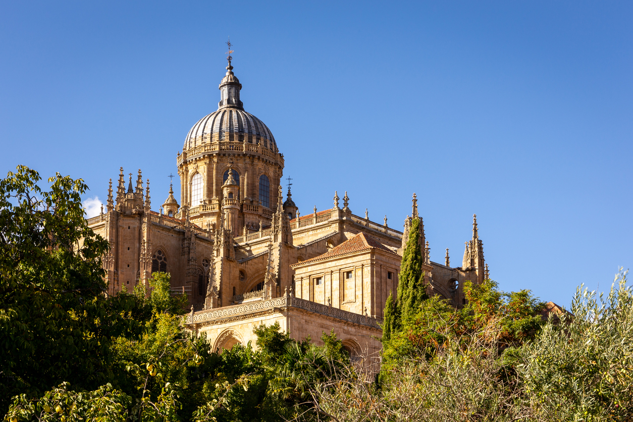 Discover Salamanca: A Day Trip from Madrid to Spain's Golden City 