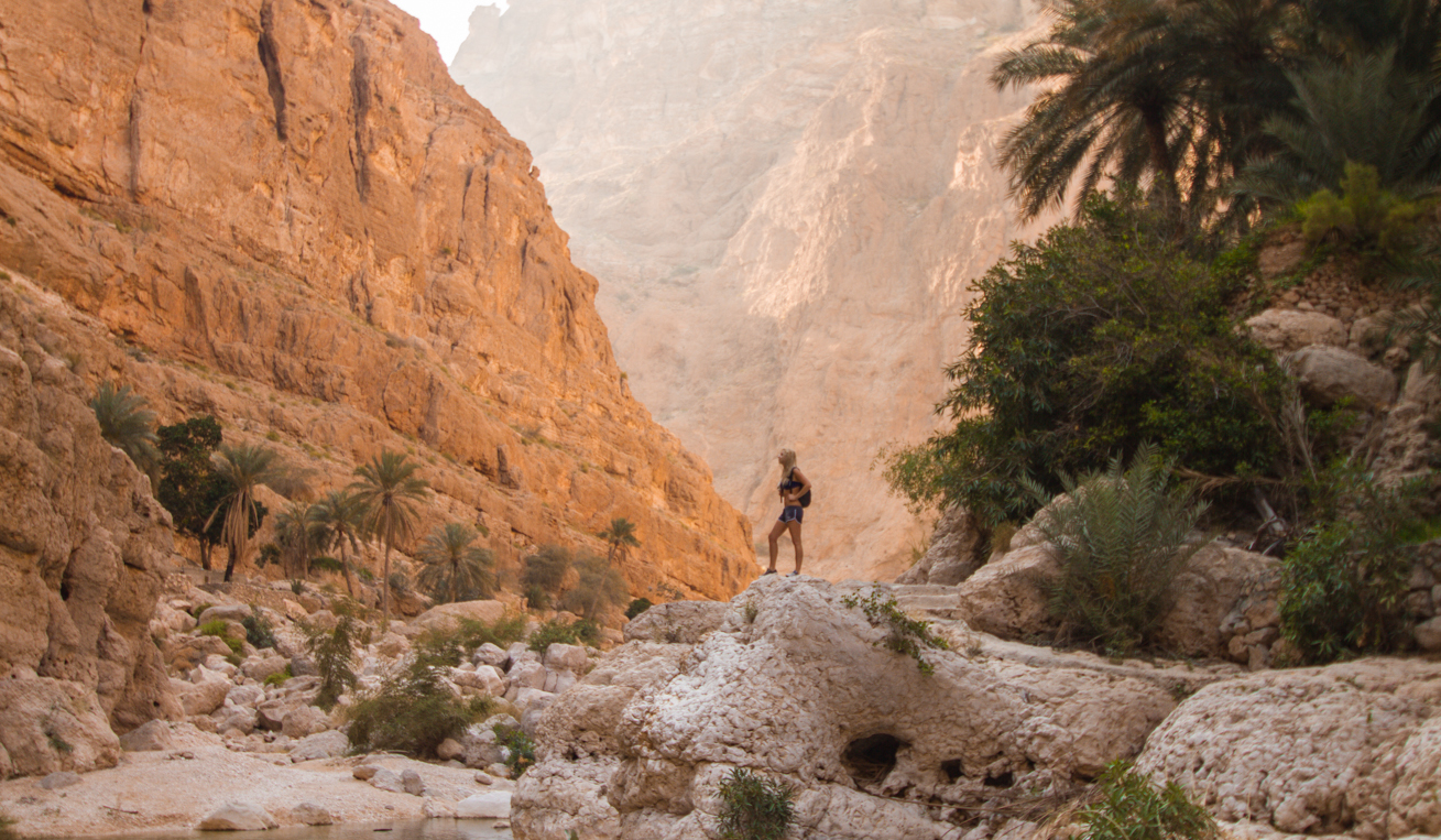 Oman Coastline and Wadi Shab Day Tour from Muscat 