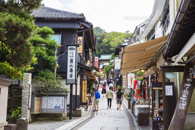 Mount Fuji Panoramic Check-in and Photo Day Tour｜5th Station or Sengen Park & Hikawa Watch Shop & Oshino Hakkai & Kawaguchiko & Lawson Convenience Store (Depart from Tokyo, optional hotel pick-up)
