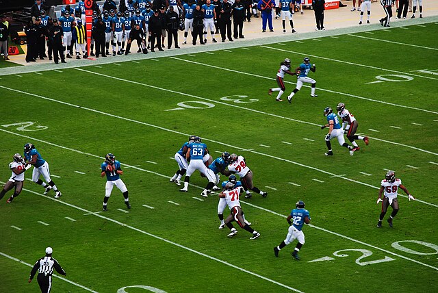 Join the sea of teal—Jaguars fans bring serious energy!