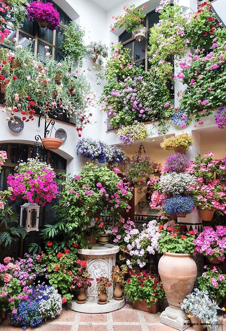 哥多華 (Cordoba) 庭院