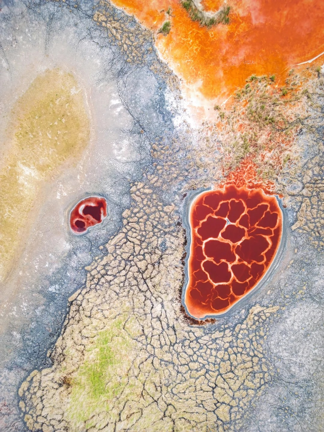 One-day tour of Tengger Desert in Yinchuan, Ningxia