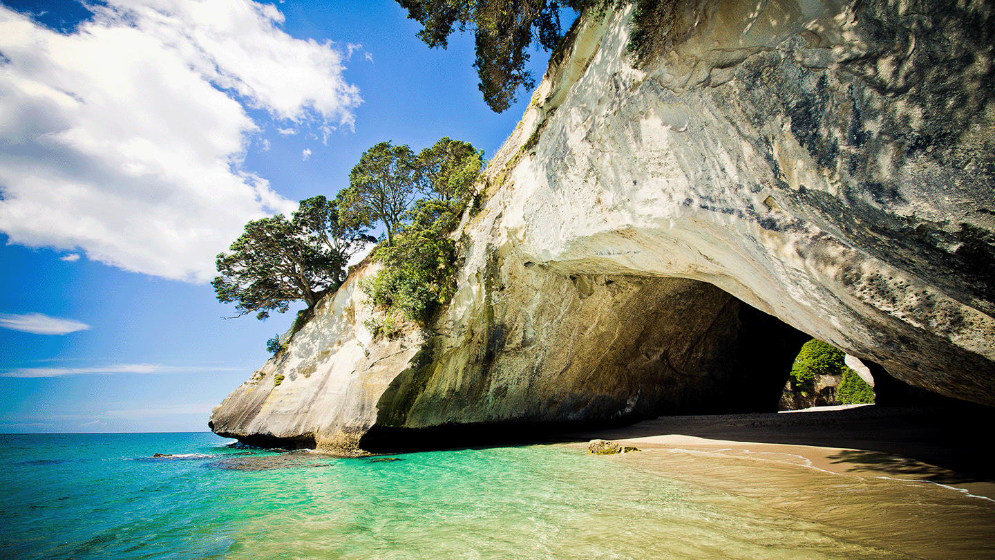 Summer Coromandel Day Tour From Auckland
