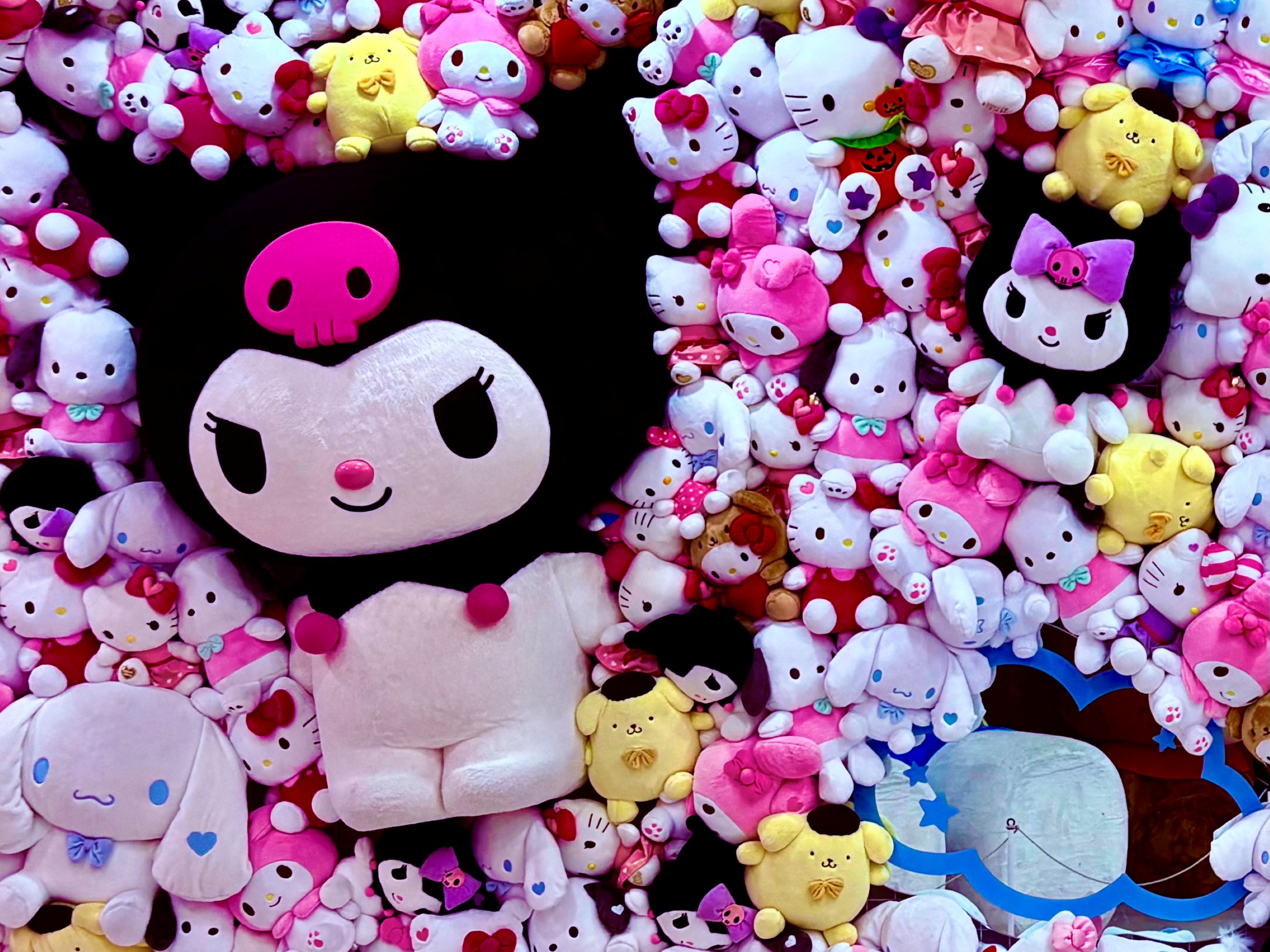 Jeju Trendy Café Tour with Snoopy, Hello Kitty, Teddy Bear & Totoro