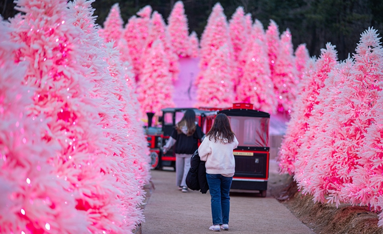 Romantic Winter Wonder Land Tour from Seoul