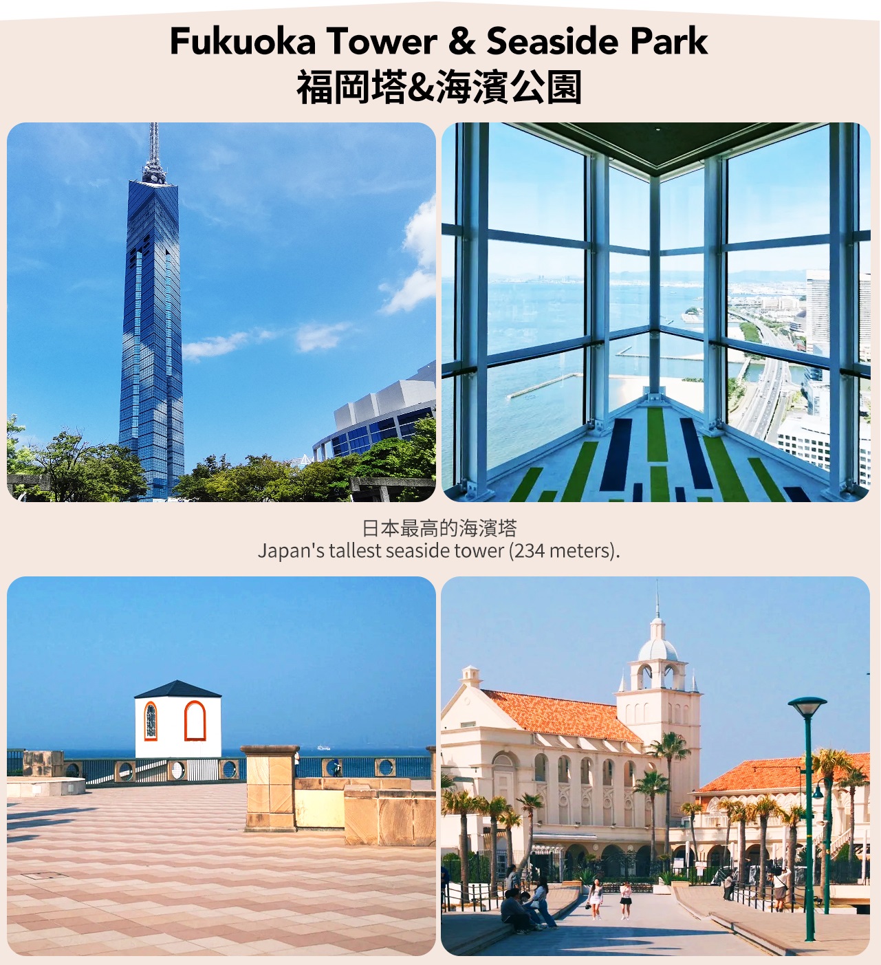 九州: 白絲瀑布&雷山千如寺&一蘭之森&芥屋大門公園一日遊（福岡出發）