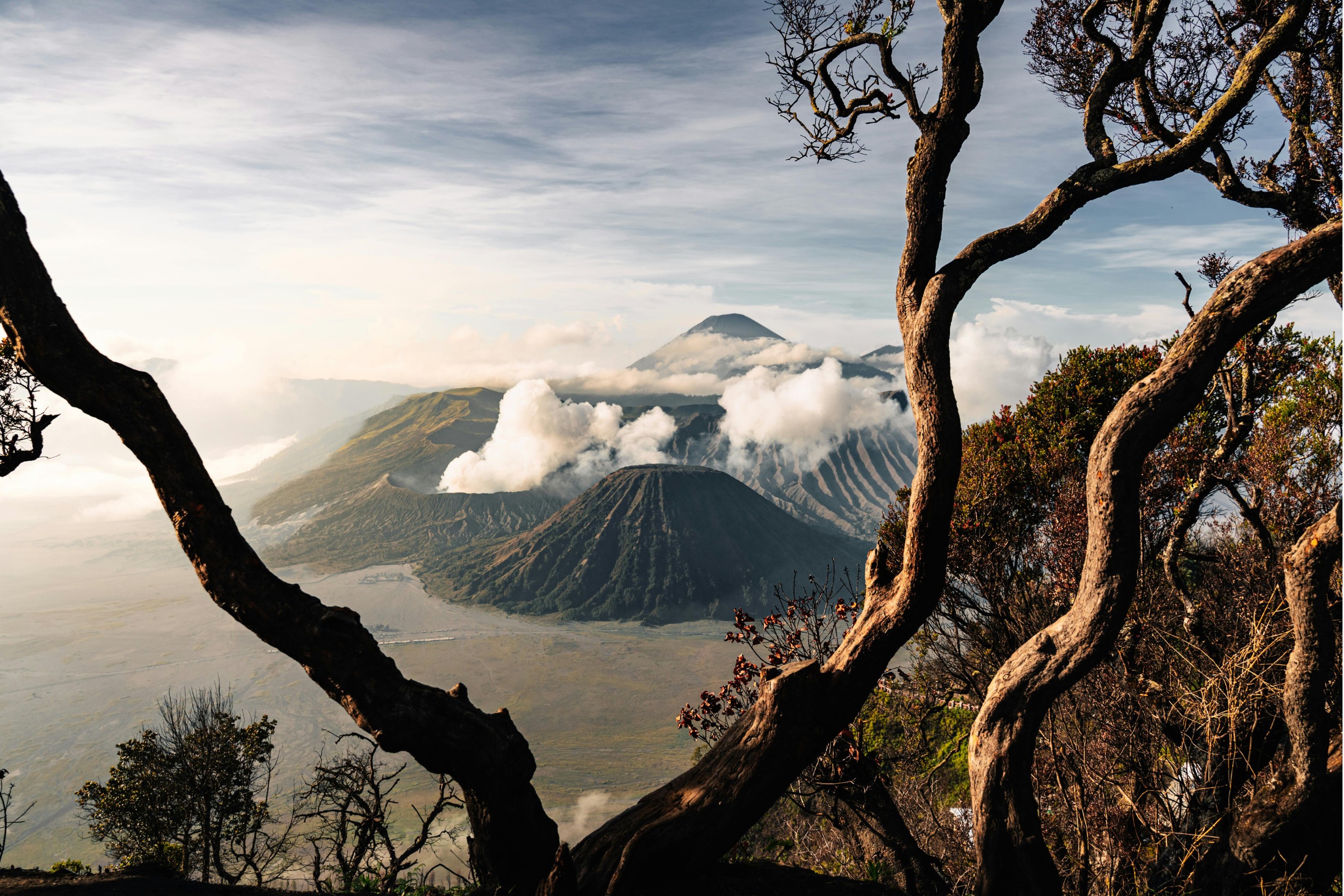 Surabaya Premium Car Rental with Driver by Goldenbird