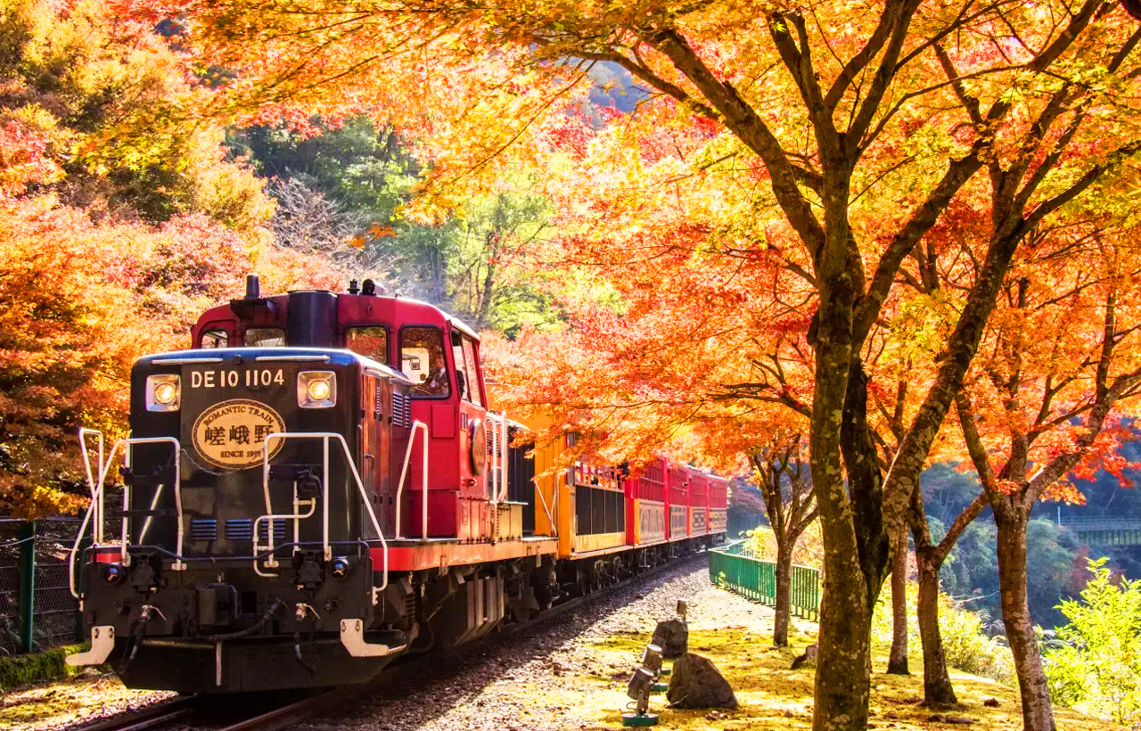 搭上嵯峨野觀光小火車，沿著桂川慢慢晃，窗外竹林、山谷、紅葉美景一覽無遺。春夏綠意、秋天紅葉、冬日白雪都超好拍，輕鬆放空又超適合拍網美照！