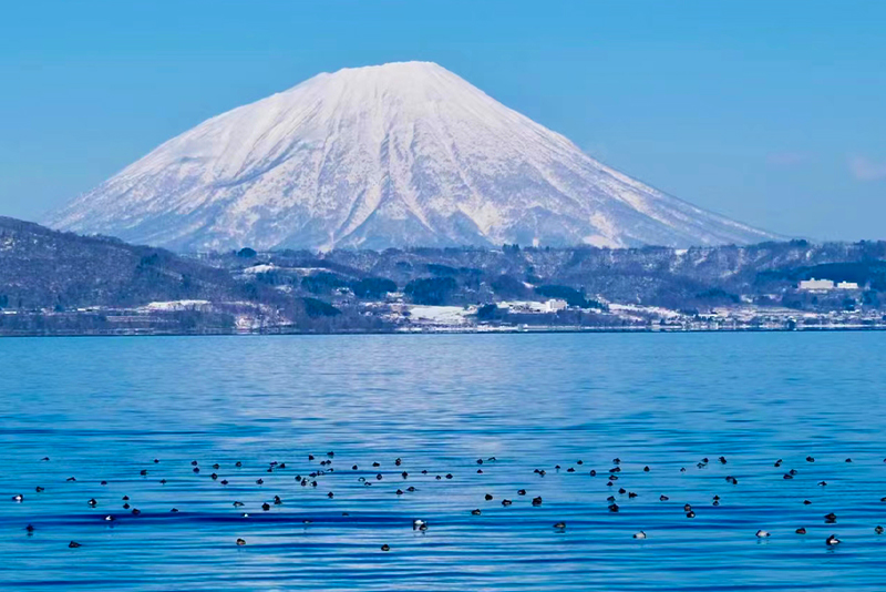 【北海道登別洞爺湖】洞爺湖&登別地獄谷&昭和新山熊牧場或有珠山一日遊|札幌出發