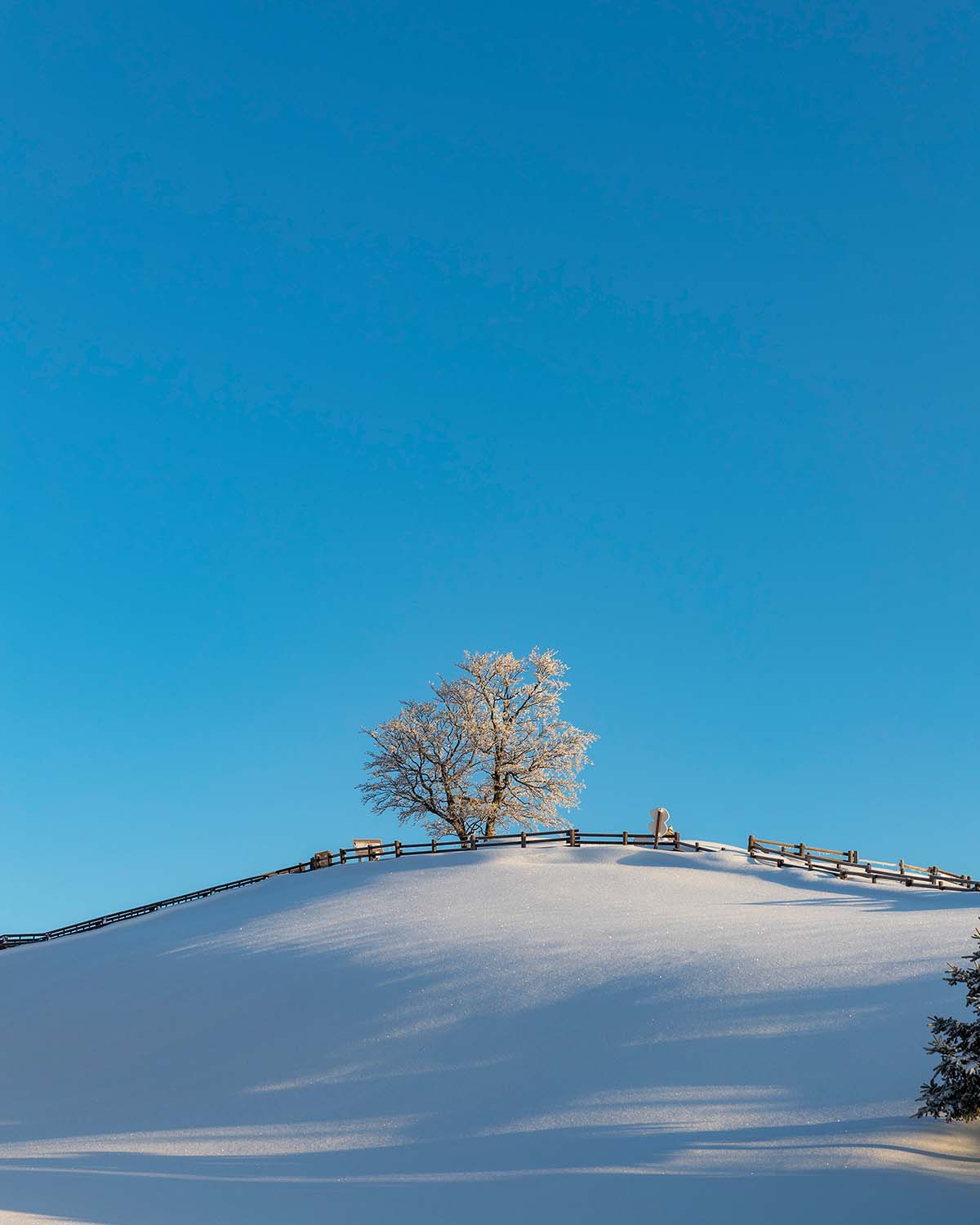 站在高地之上，感受微風與自然的療癒力量，是 ARMY 必訪的治癒系景點。