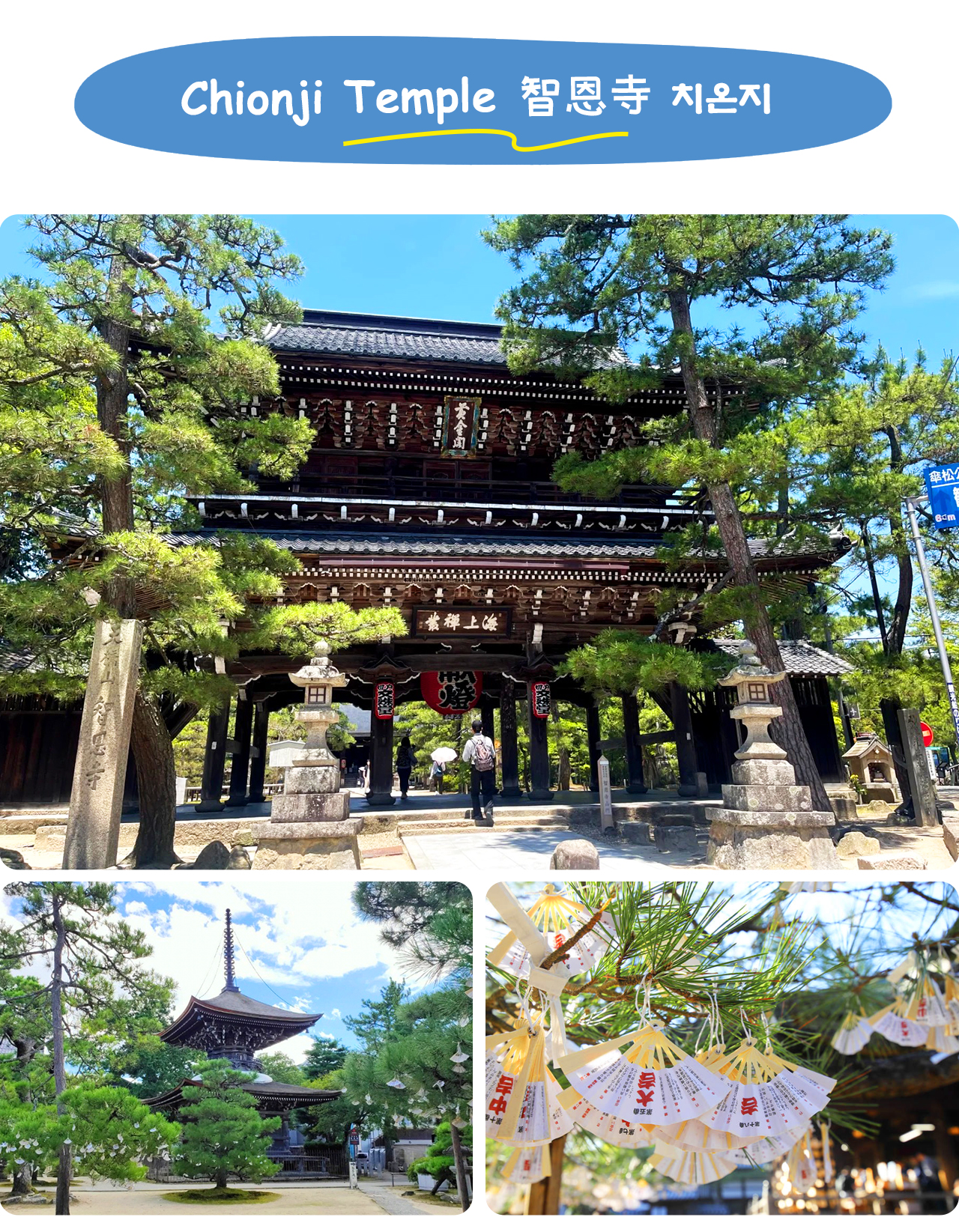 Chion-ji Temple is located at the entrance of Amanohashidate. It is one of the three major "Manjusri" temples in Japan. It enshrines Manjusri Bodhisattva, who is in charge of wisdom. Many candidates come here to pray for good academic results. The Sanmon 