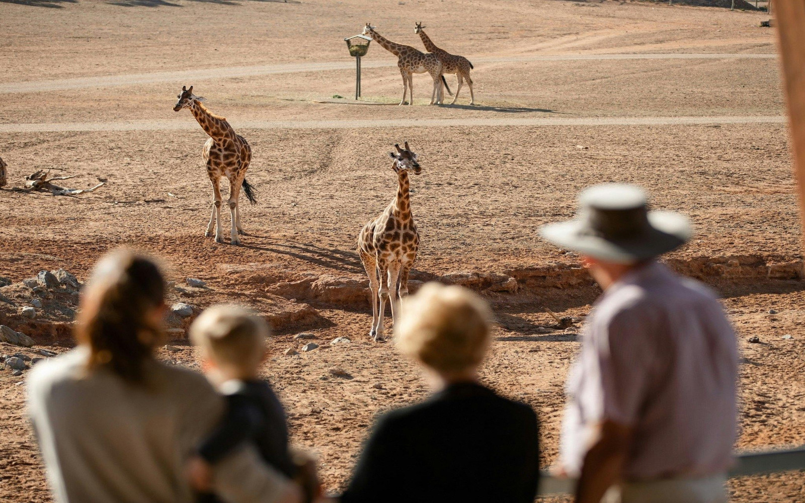 Adelaide Murray River Full-Day Small Group Sightseeing Tour