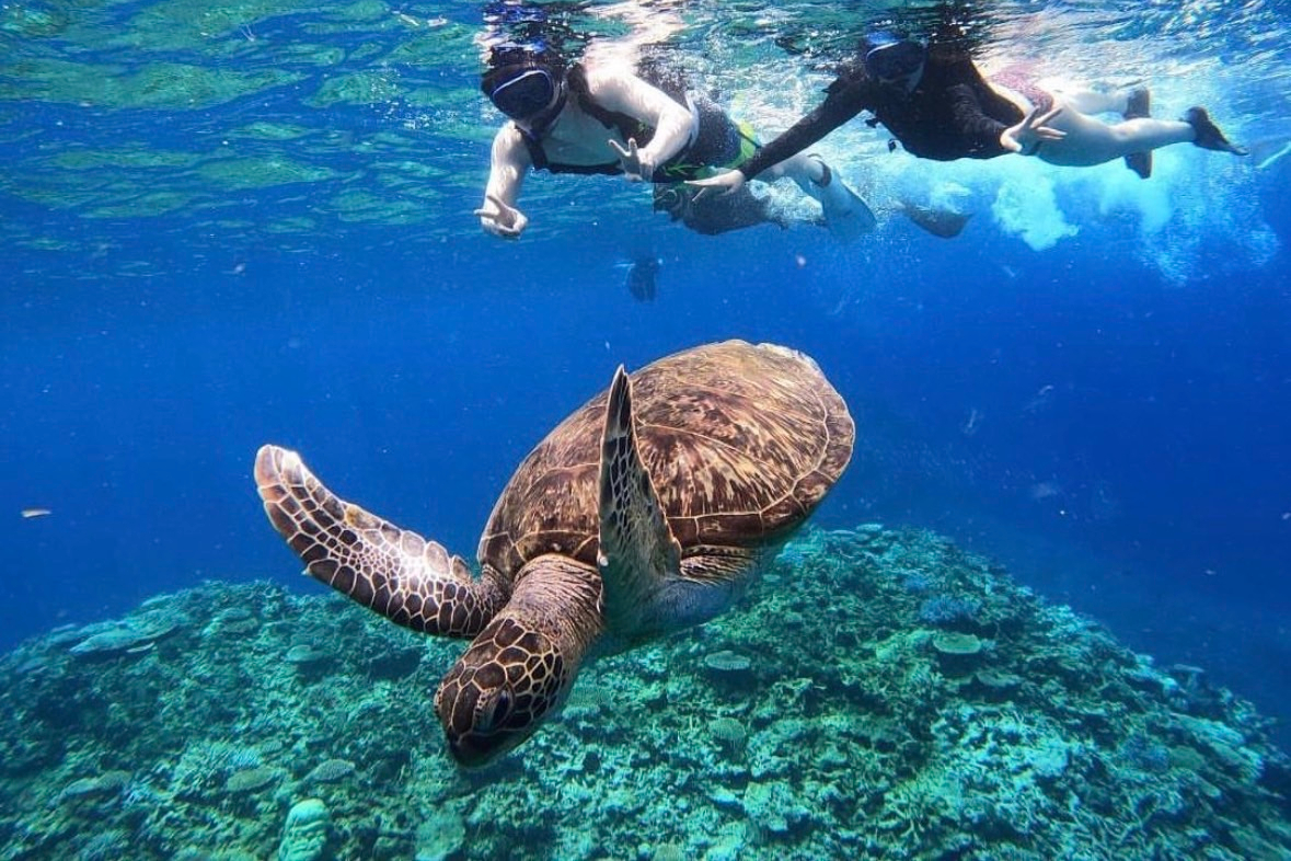 西表島 & 巴拉蘇島浮潛與紅樹林SUP或獨木舟一日體驗（沖繩）