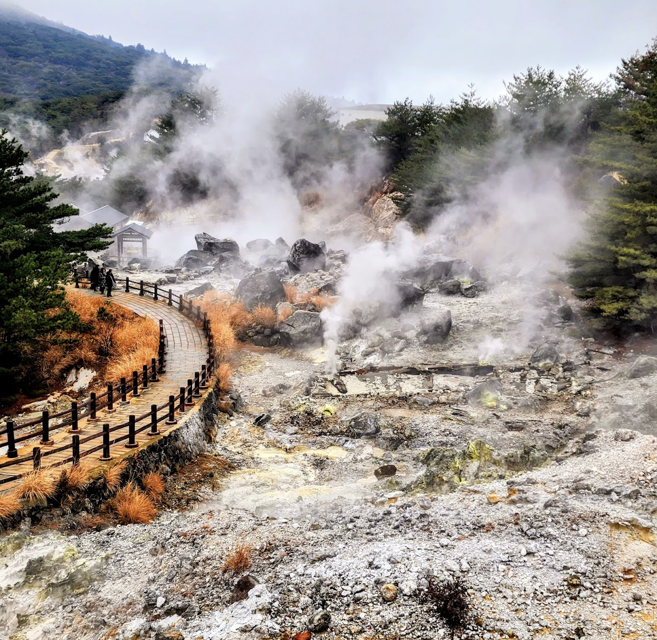 九州｜長崎豪斯登堡/稻佐山 / 雲仙溫泉/ 九十九島定製包車一日遊