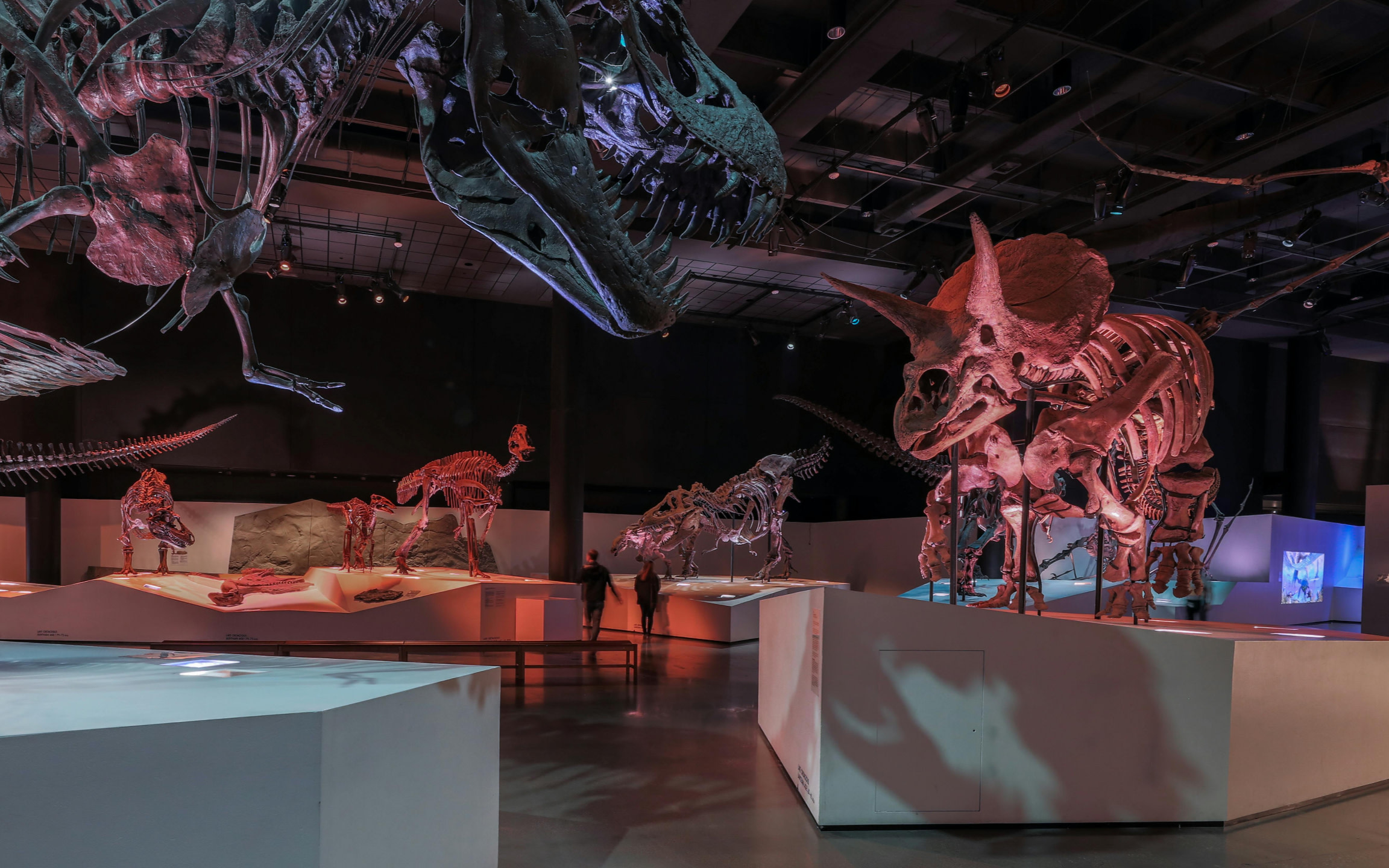 Houston Museum of Natural Science Admission Ticket