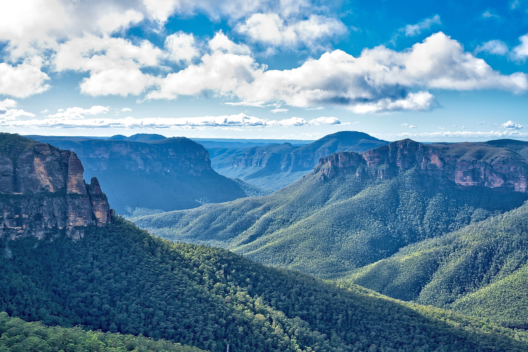 Australian Wildlife, Blue Mountains & Scenic World Private Tour
