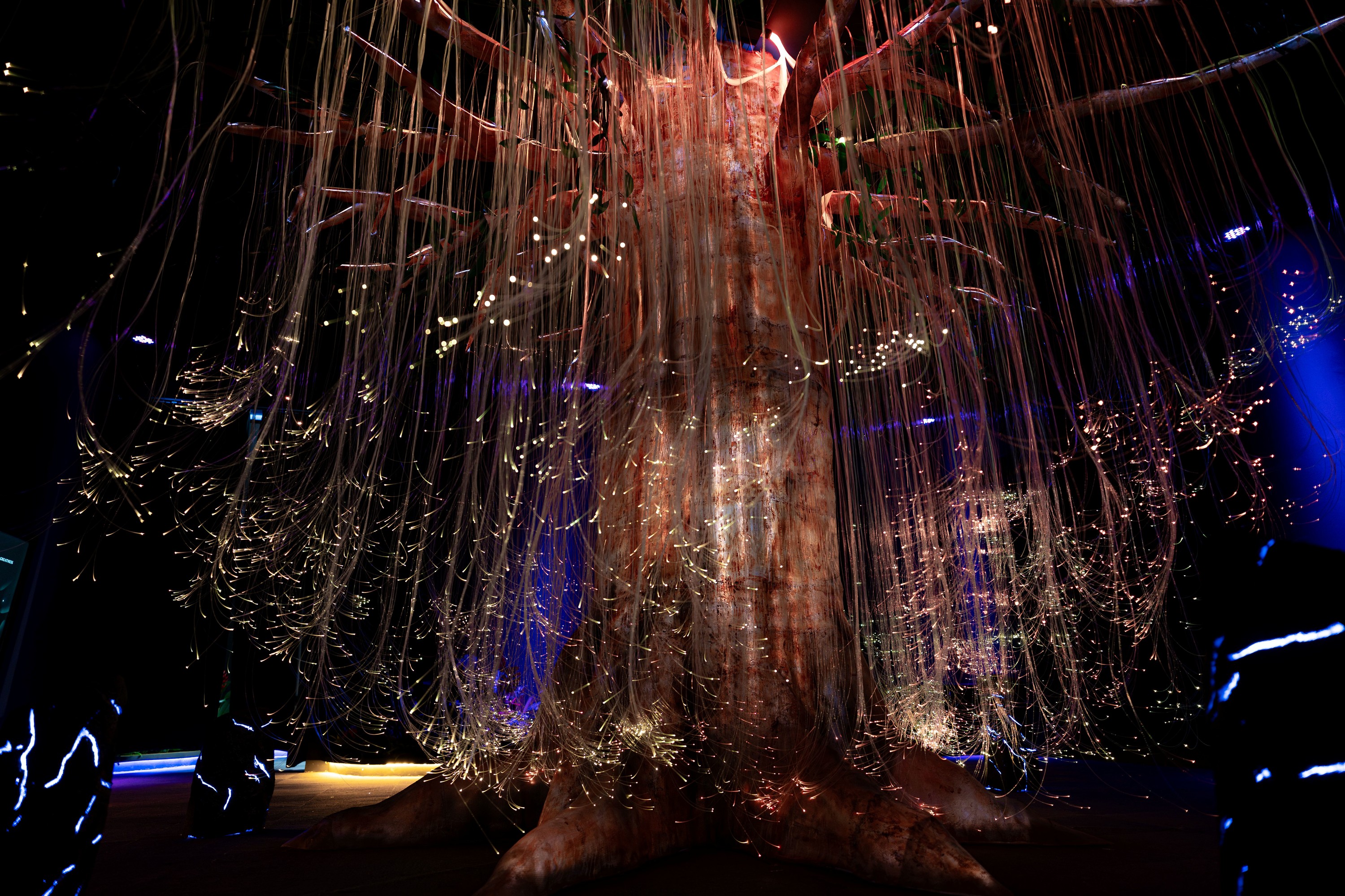 Билет на вход в Зачарованный лес в Monkey Canopy