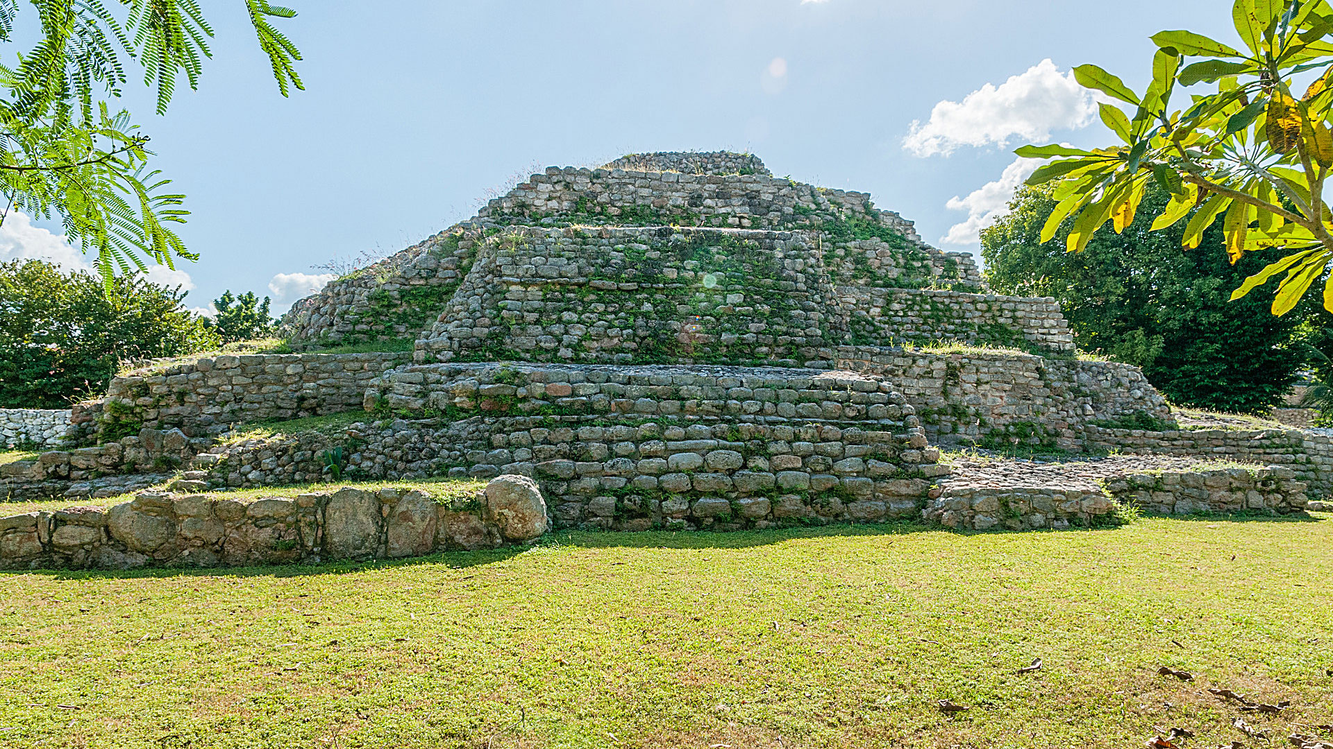 Image 3