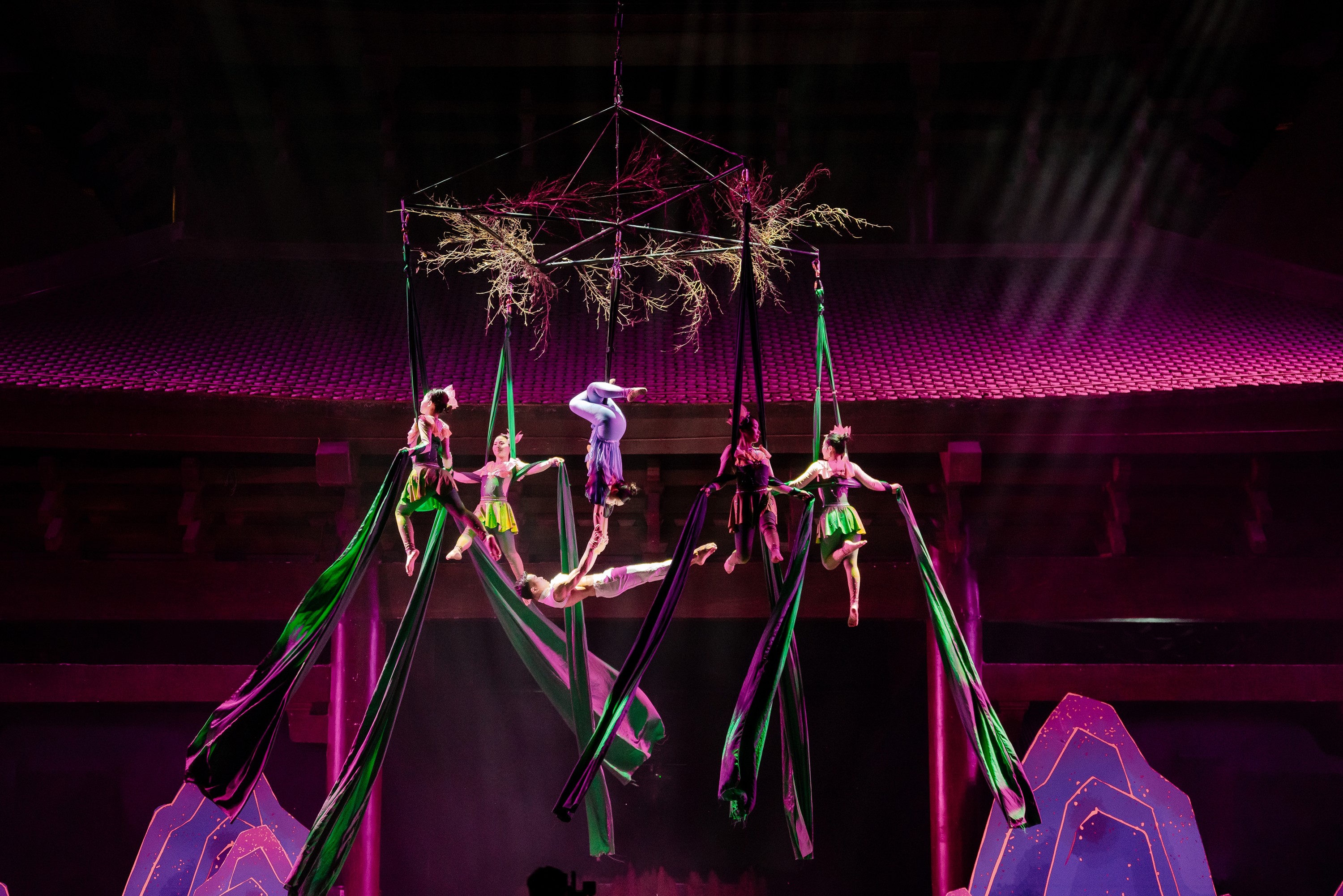 Real Scenery Show: The Emperor Of The Reeds Ticket in Ninh Binh