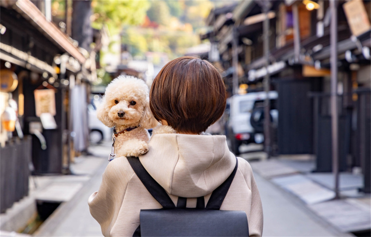 飛驒高山古街漫步