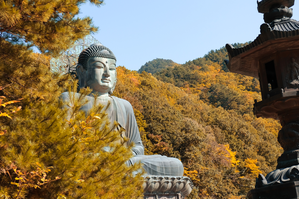 南怡島＆雪嶽山一日遊（首爾出發）