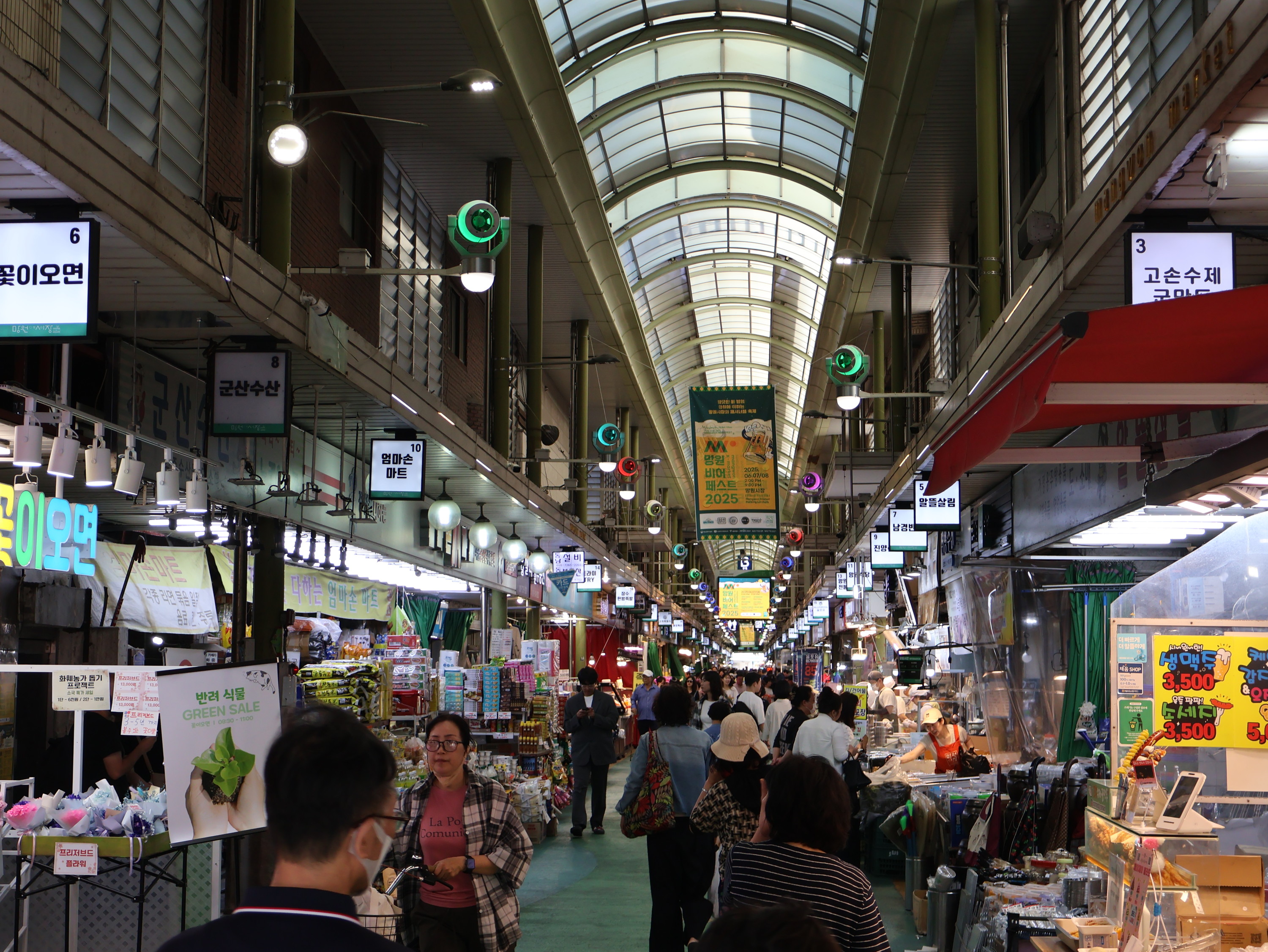 Seoul Mangwon Market & Han River Local Food Tour