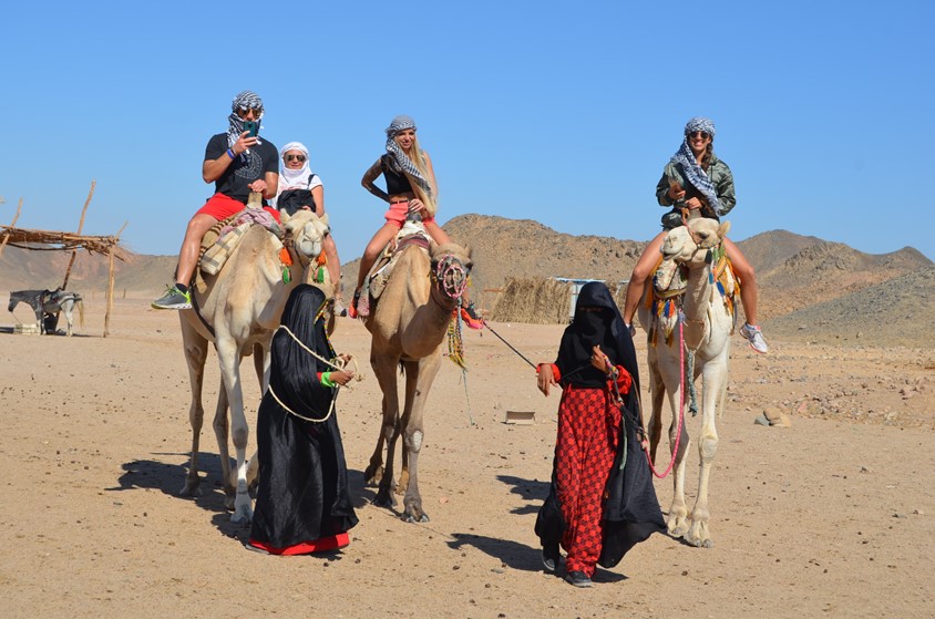 Morning desert safari