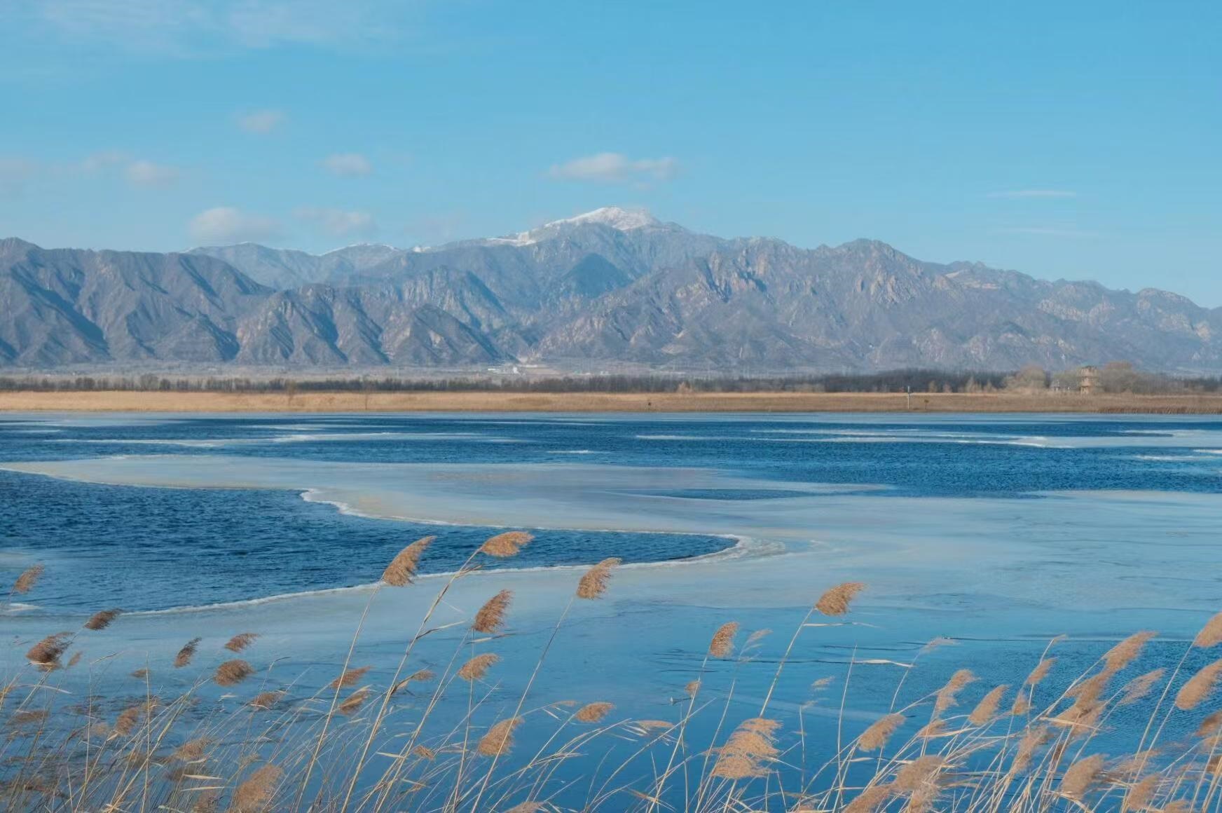 近景蘆葦搖曳，中景冰湖藍白交織，遠景群山巍峨，雪山點睛，由近及遠鋪展 “水 — 岸 — 山” 的立體畫卷，每一層都藏著天地的雄渾