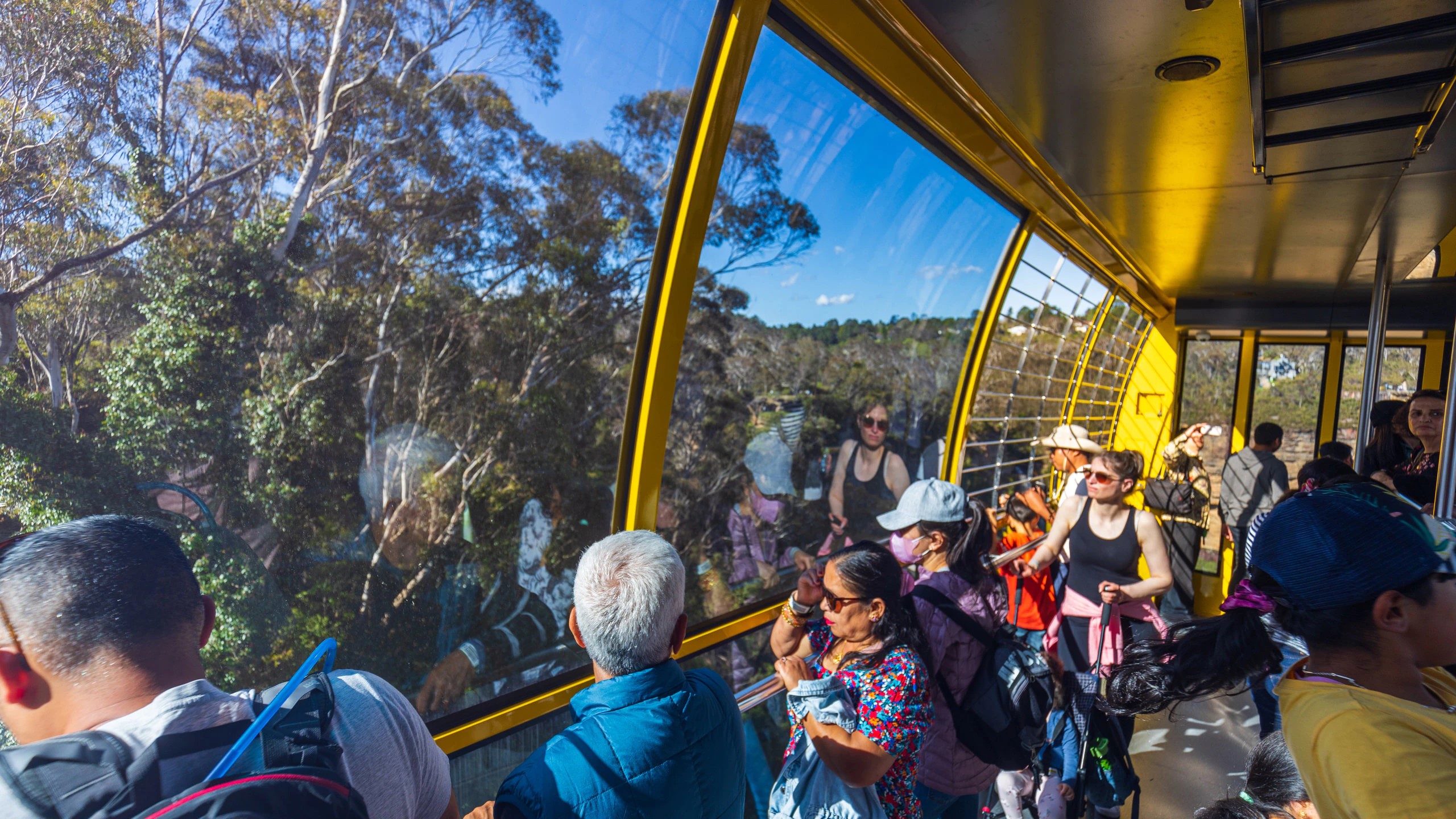 Australian Wildlife, Blue Mountains & Scenic World Private Tour