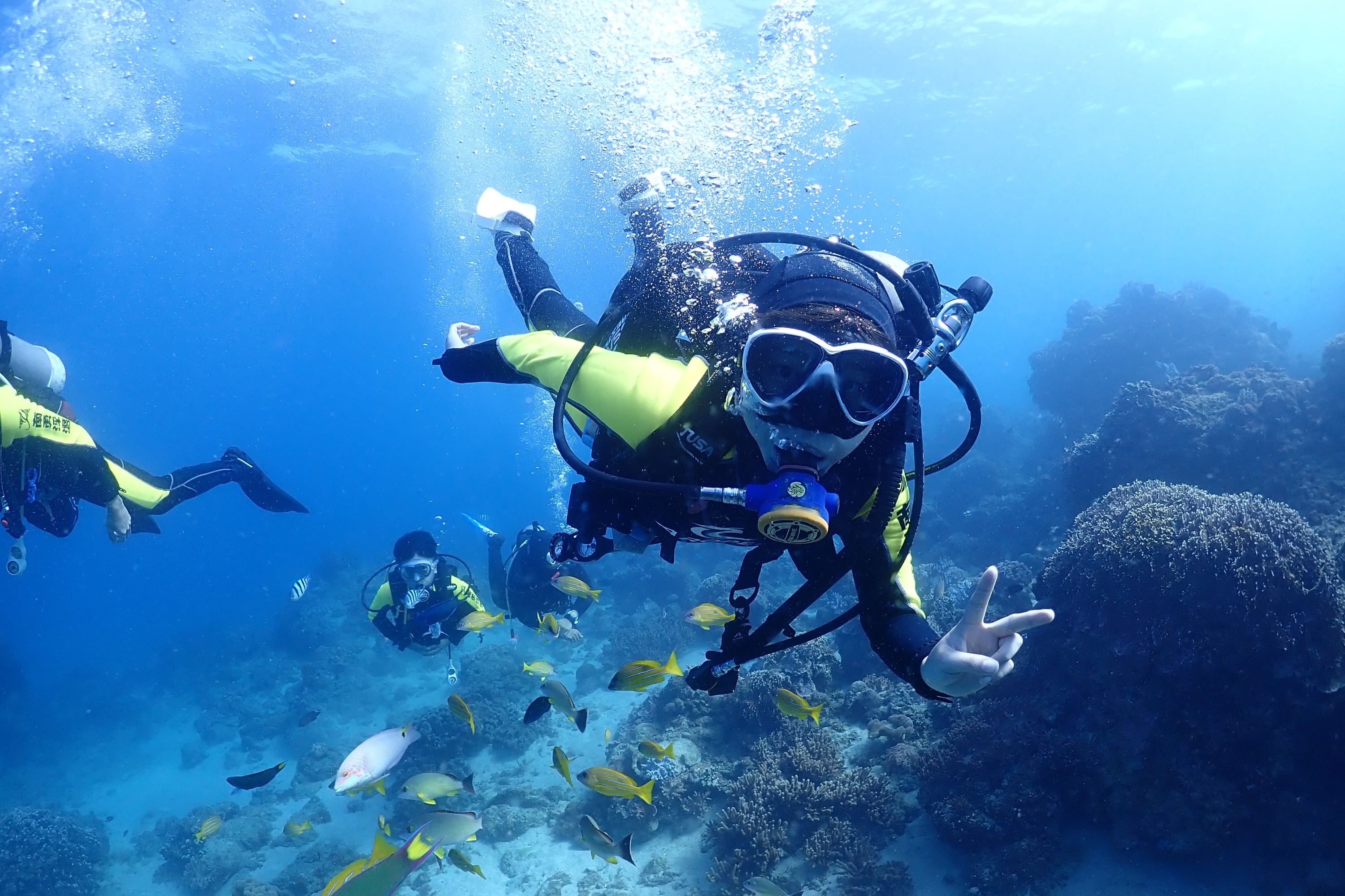 Try Diving, OW Diver & AOW Diver Course at Pingtung