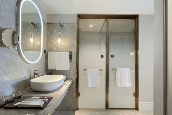 Hotel guest room bathroom area environment display image