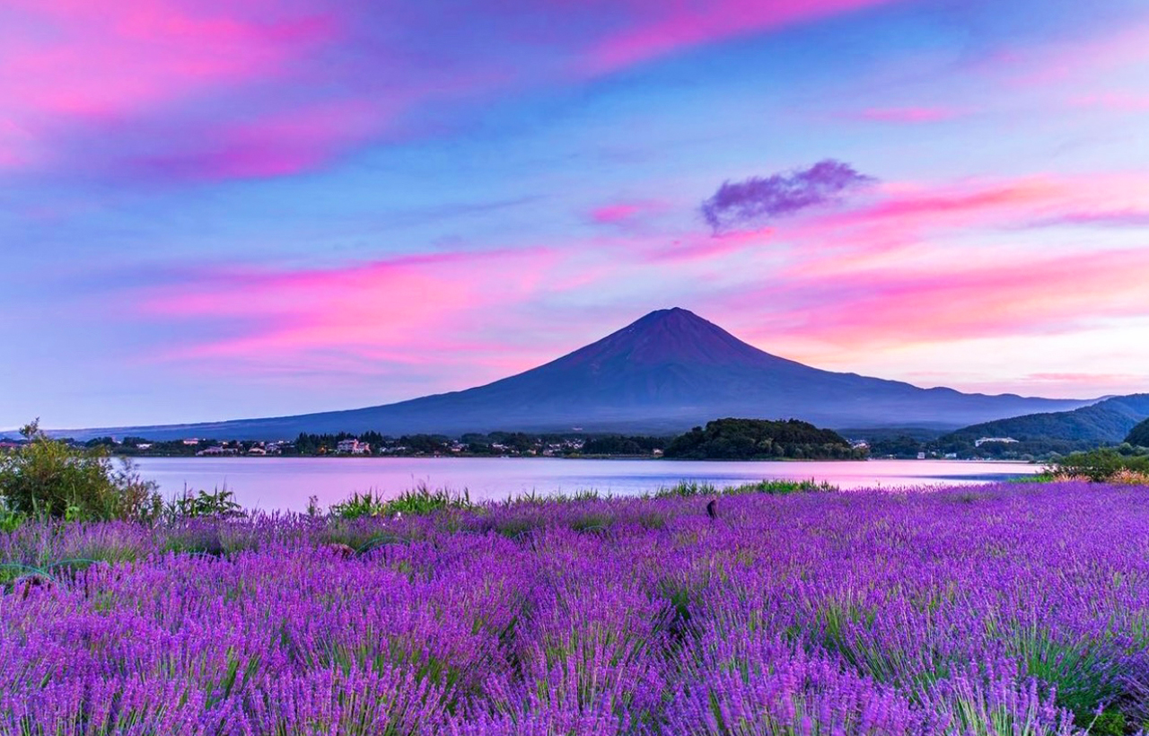 Mount Fuji Arakurayama Sengen Park | Hikawa Watch Shop | Oshino Shinobi Village | New Internet celebrity one-day tour