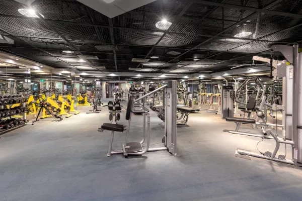 Hotel gym display picture