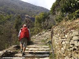 Hiking on the poon hill trail