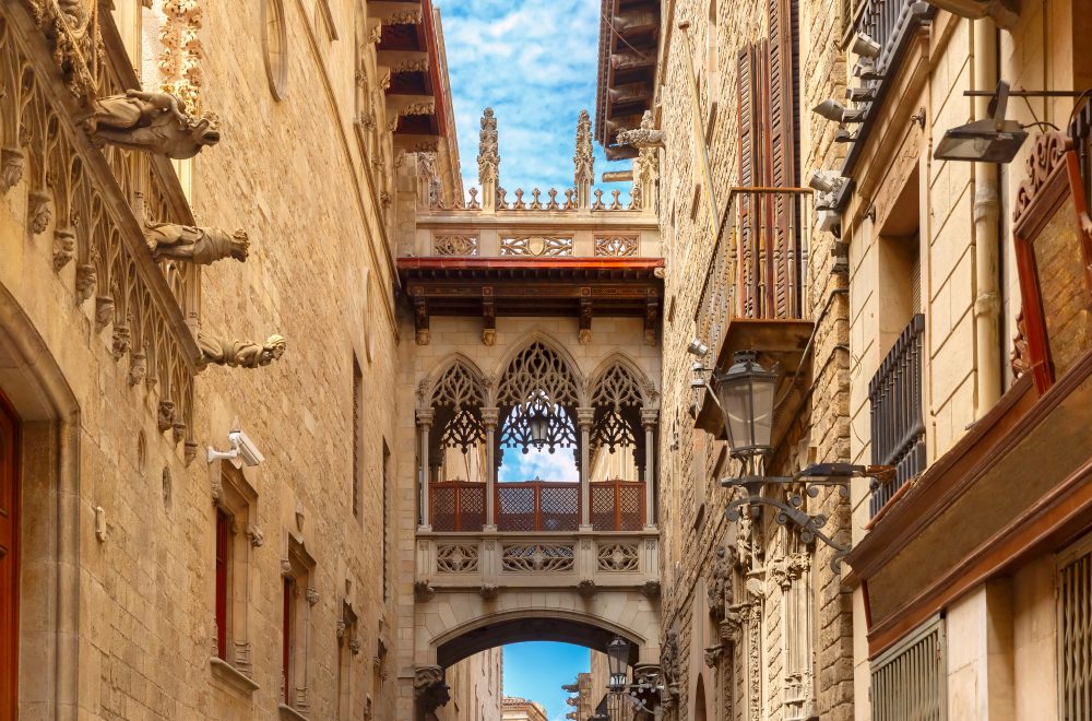 Barcelona Old Town Tour With Optional Flamenco Show