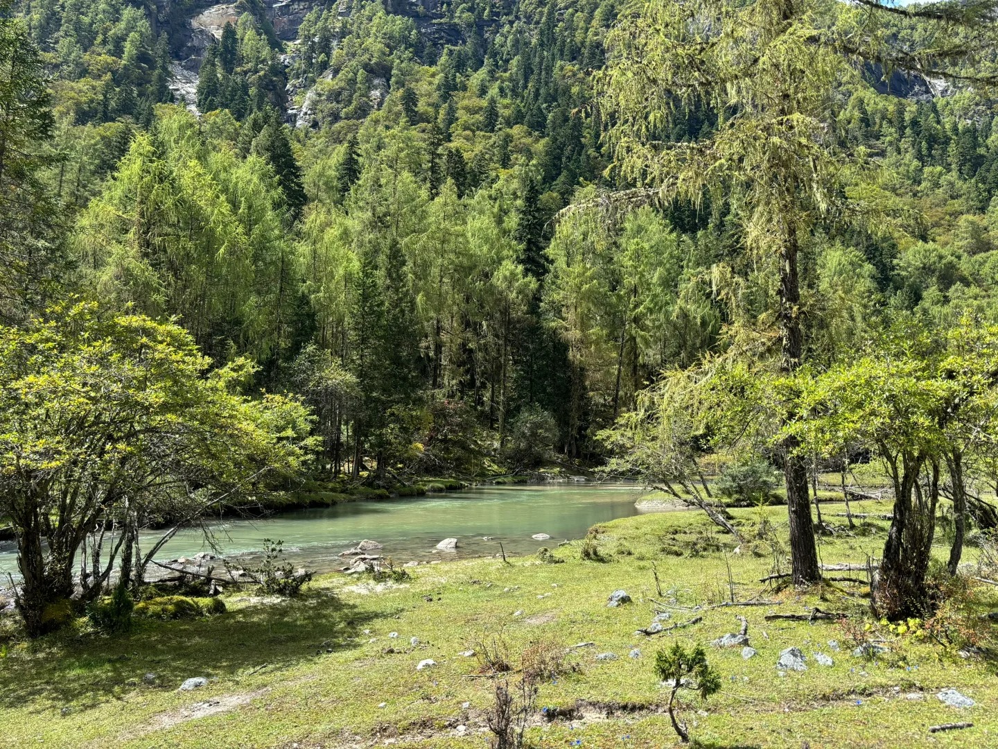 長坪溝以原始森林和雪山景觀聞名，適合輕徒步或騎馬深入。喇嘛寺、枯樹灘、木騾子等景點漸次展開，越往裡走，越能感受四姑娘山的壯美與靜謐。