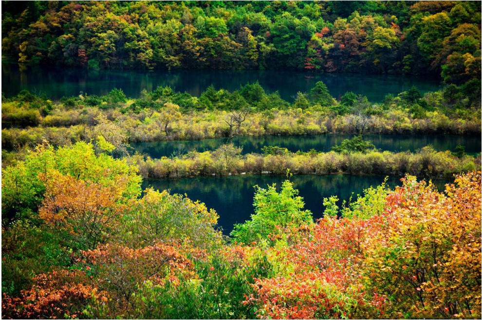 樹正群海：由大小19塊海子所組成，19塊海子就如19塊碧綠的翡翠，鑲嵌在這深山幽谷之中，中間由綠樹、銀色的小瀑布相連，就如給樹正寨帶上了一條美麗的翡翠項鍊。