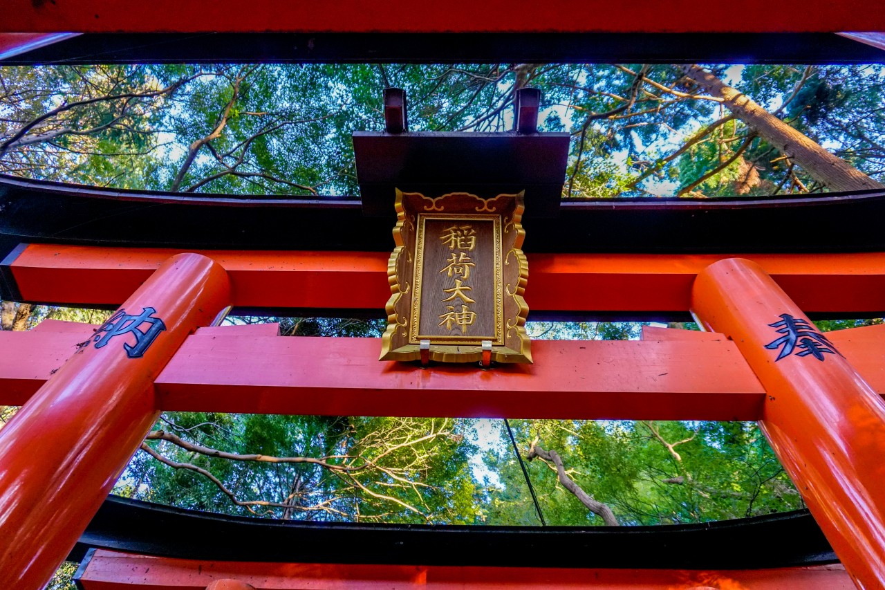 京都嵐山美景文化探秘及奈良萌鹿趣味體驗一日遊