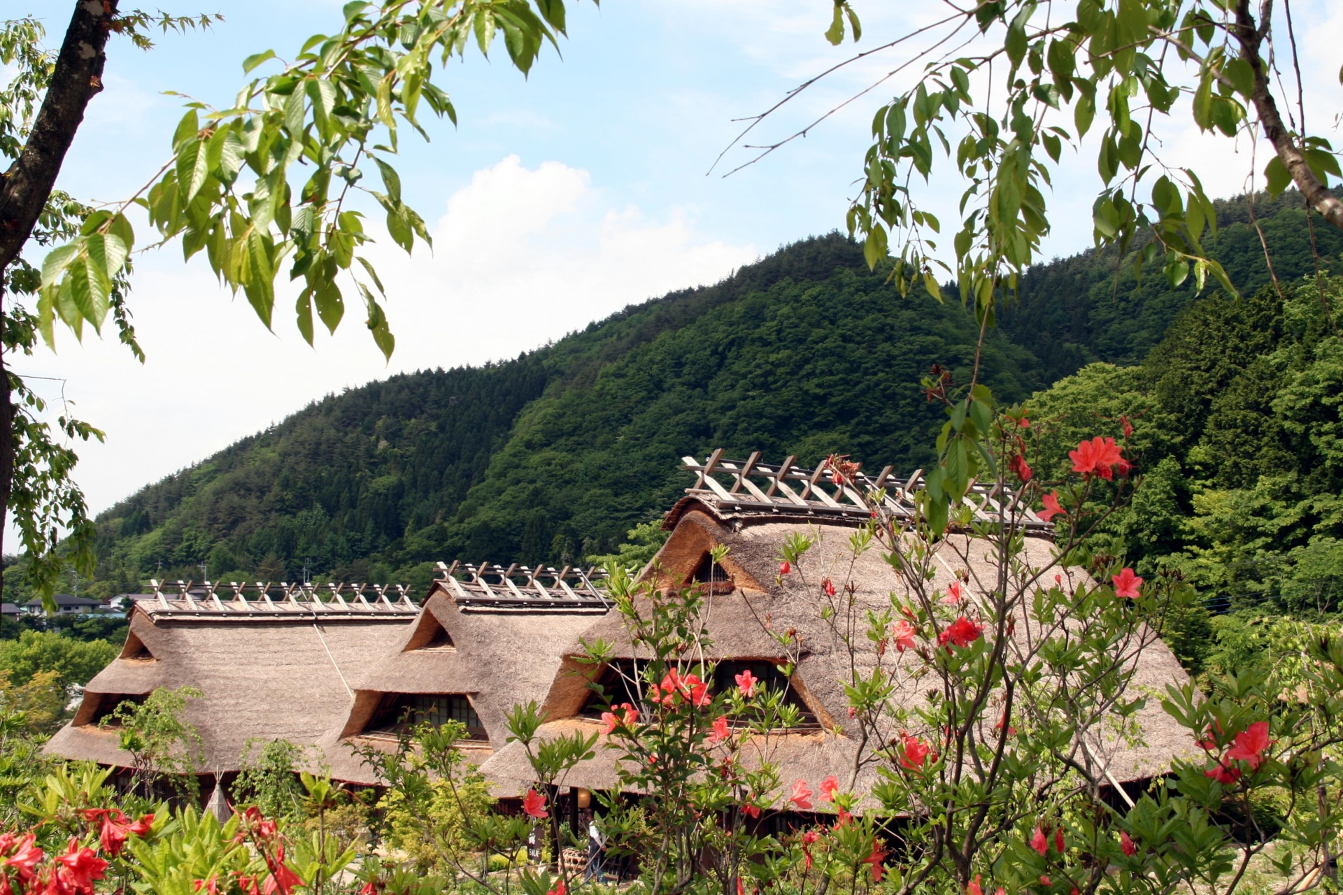 One-day tour of Mt. Fuji and Lake Kawaguchi, Arakurayama Sengen Park, Lake Kawaguchi, Oishi Park, Saiko Healing Center