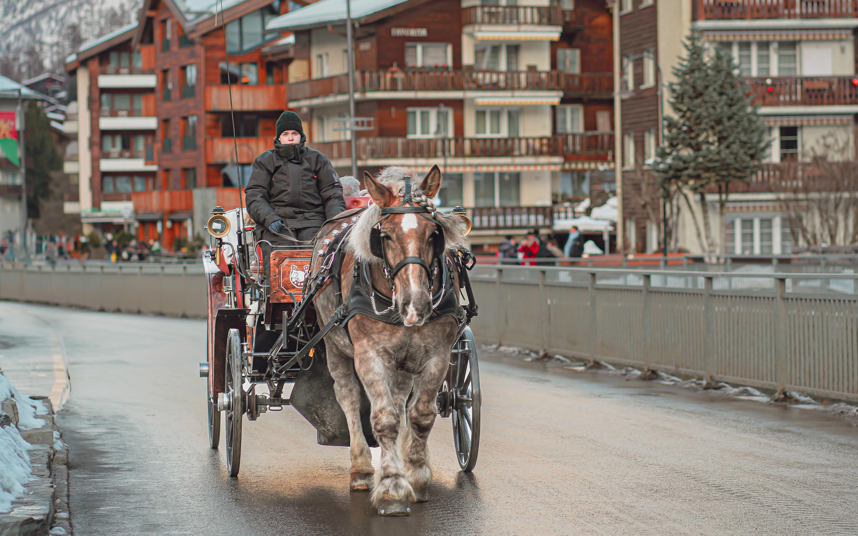 Zermatt Village: Professional Photoshoot at the Best Spots