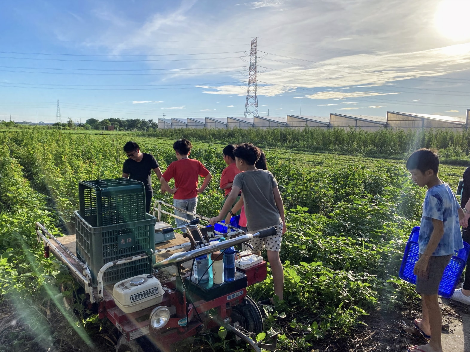 晁陽緑能休閒農場 入場チケット（雲林）