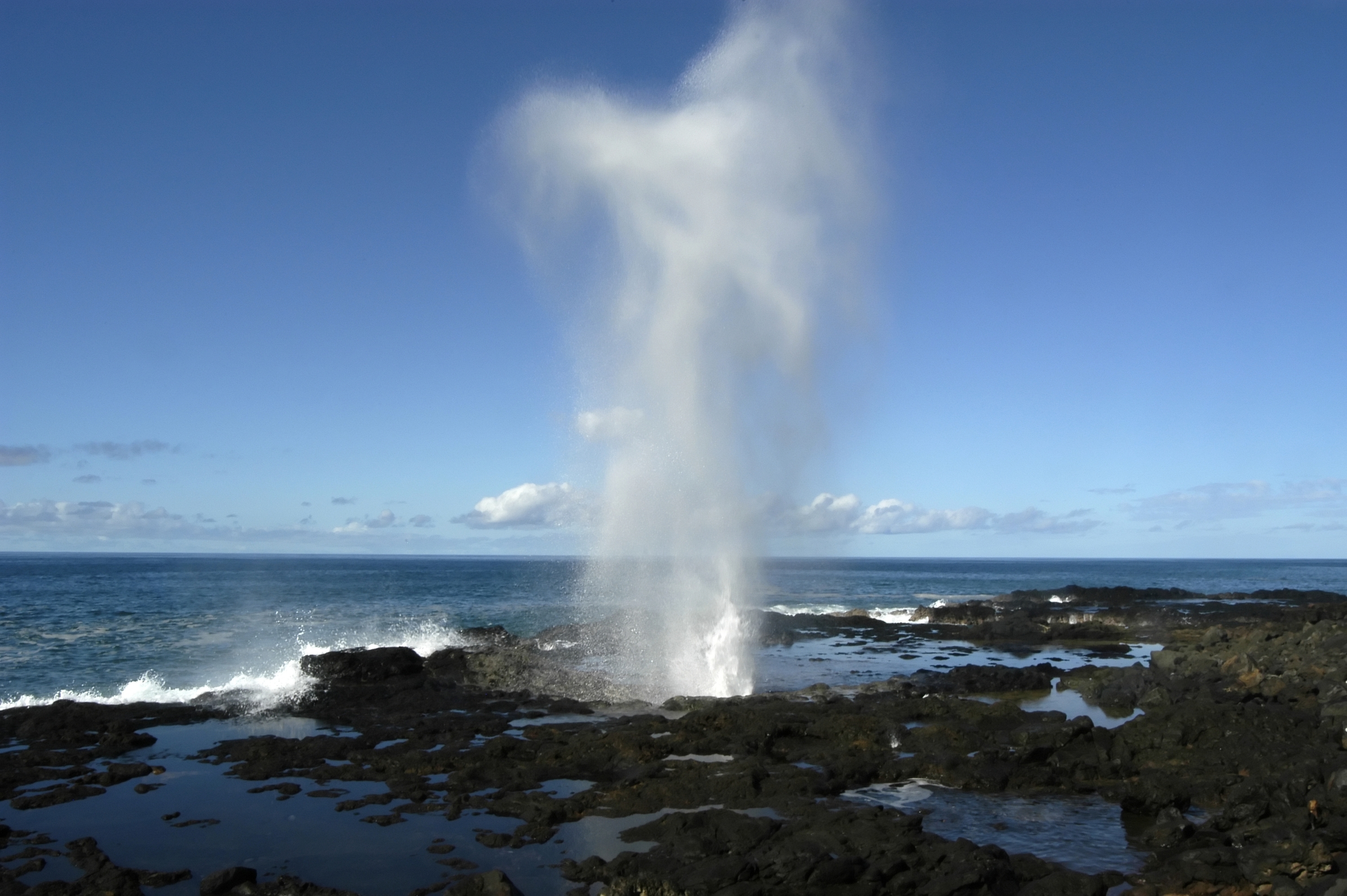 Little blowhole