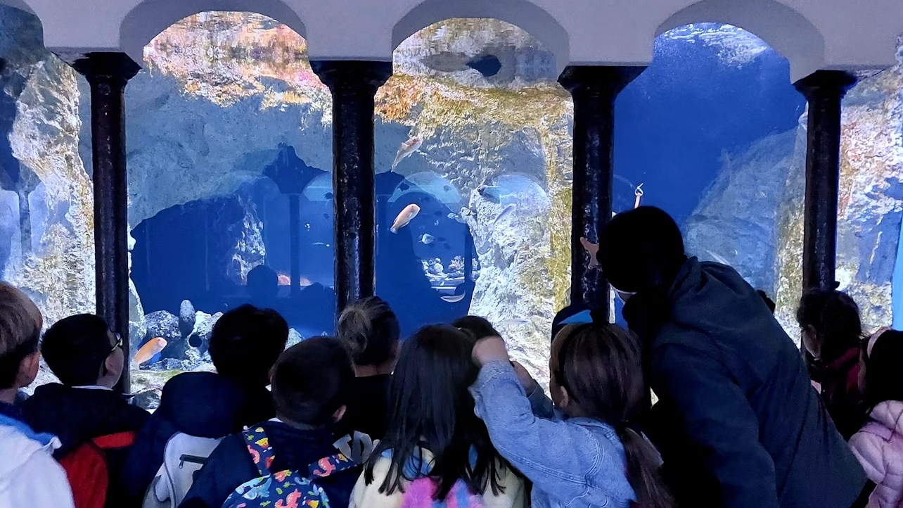孩子們在那不勒斯水族館充滿活力的水族箱中暢遊，對魚類感到驚嘆不已