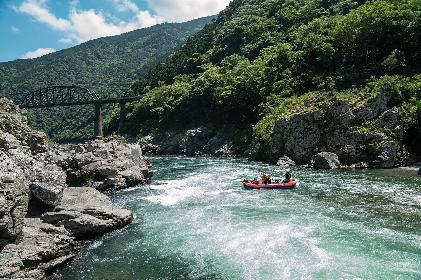Yoshino River's rapids and mountains